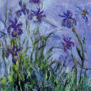 Meet your Posher, Naz